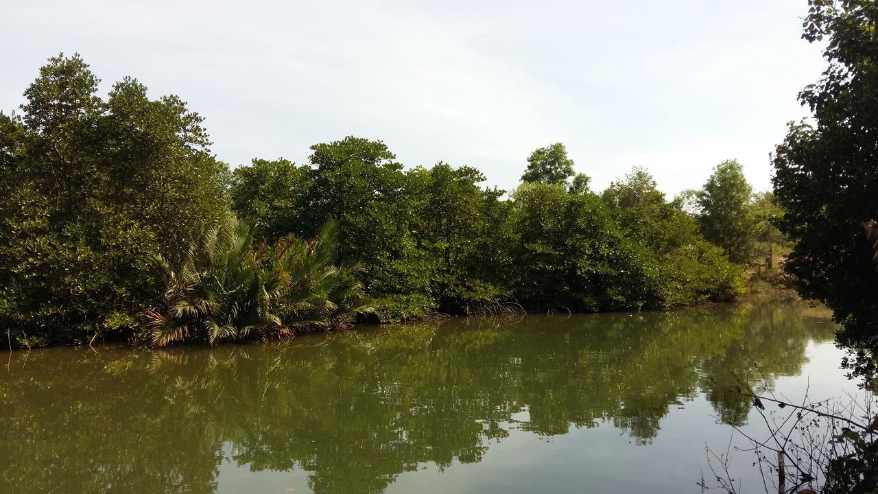 Mangroves & More @ Cambodia สีหนุวิลล์ ภายนอก รูปภาพ